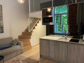 Deluxe art apartment in heart of Tallinn, Tallinn